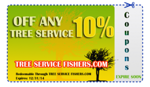 Tree Service Coupon Fishers Indiana 317-537-9770
