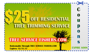 Tree Care Coupon Fishers IN