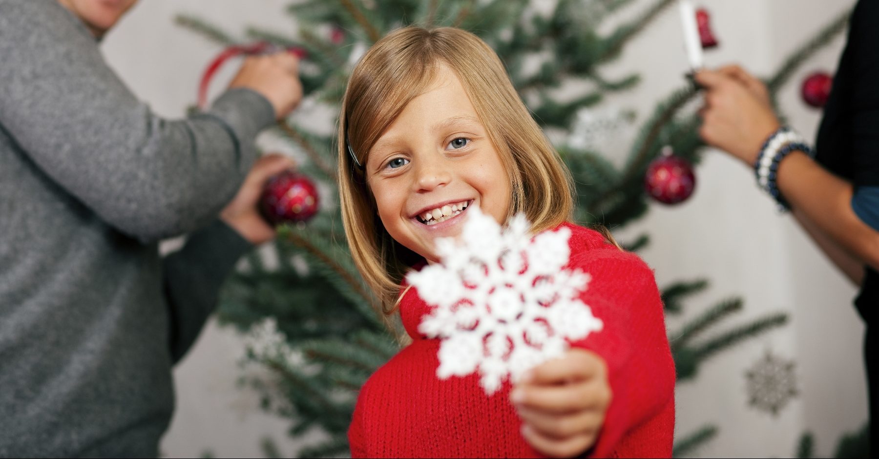 When to Take Down Your Christmas Tree Tree Service Fishers, Indiana