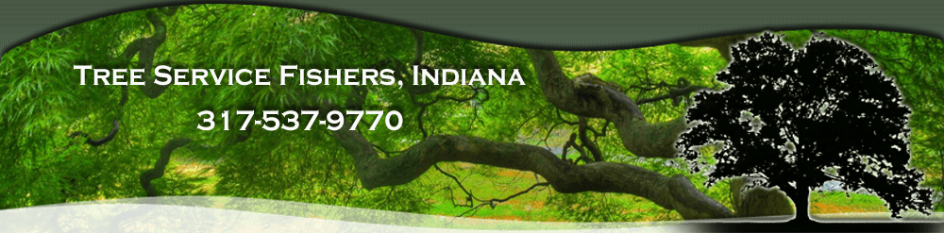 Fishers Tree Service 317-537-9770