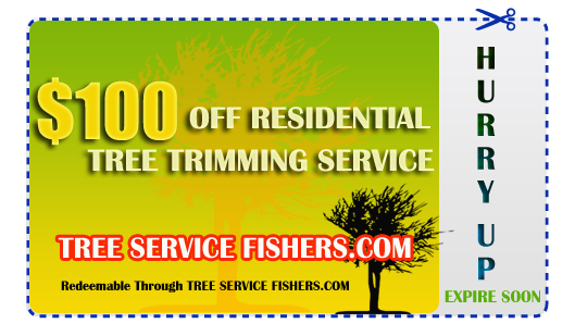 $50 OFF RESIDENTIAL TREE TRIMMING SERVICE